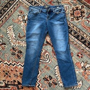 Lucky Brand Indigo Denim Lolita skinny jean pants s27